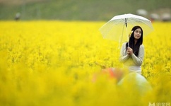 中文字幕人妻丰满熟女